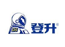 山东登升安防科技有限公司